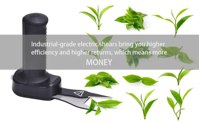 Electric Scissors
